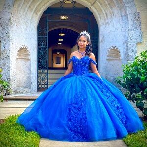 Royal Blue Quinceañera or Princess Dress